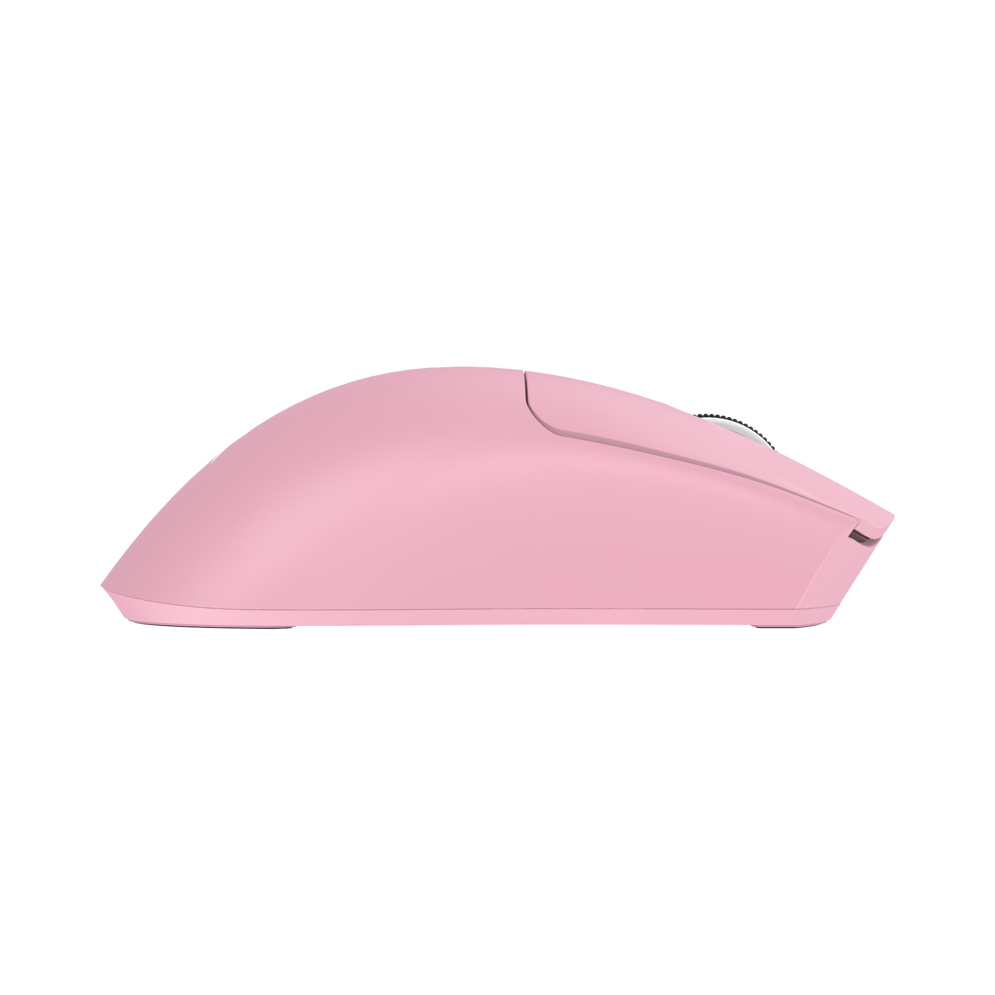 Baracuda MORAY BGM-133, Pink