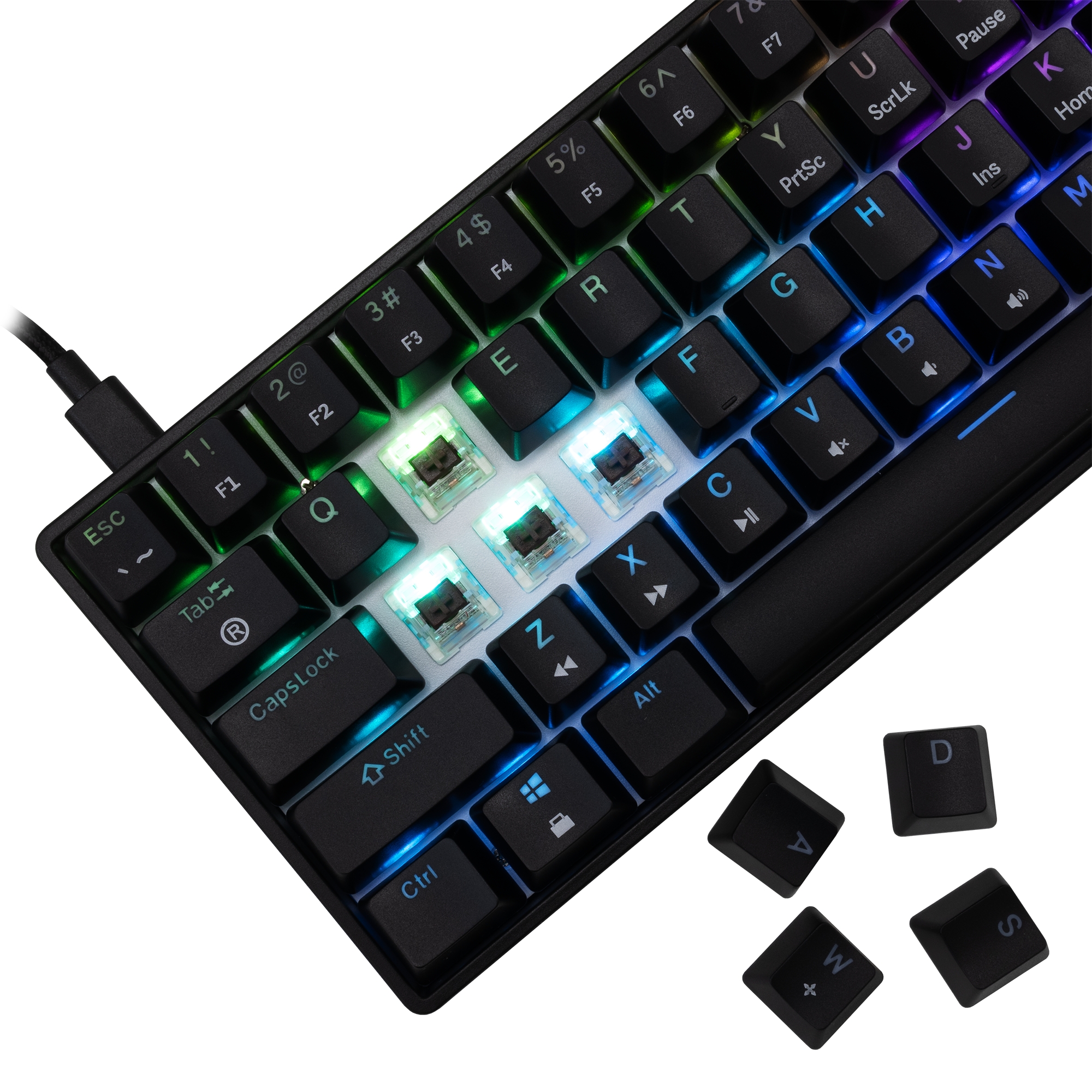 White Shark GK-004131 Shinobi 2 Brown switch, Black US