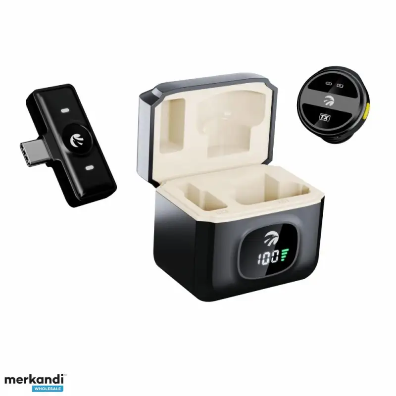 Hawk HW-MIC101 Digital Wireless Microphone (Single)