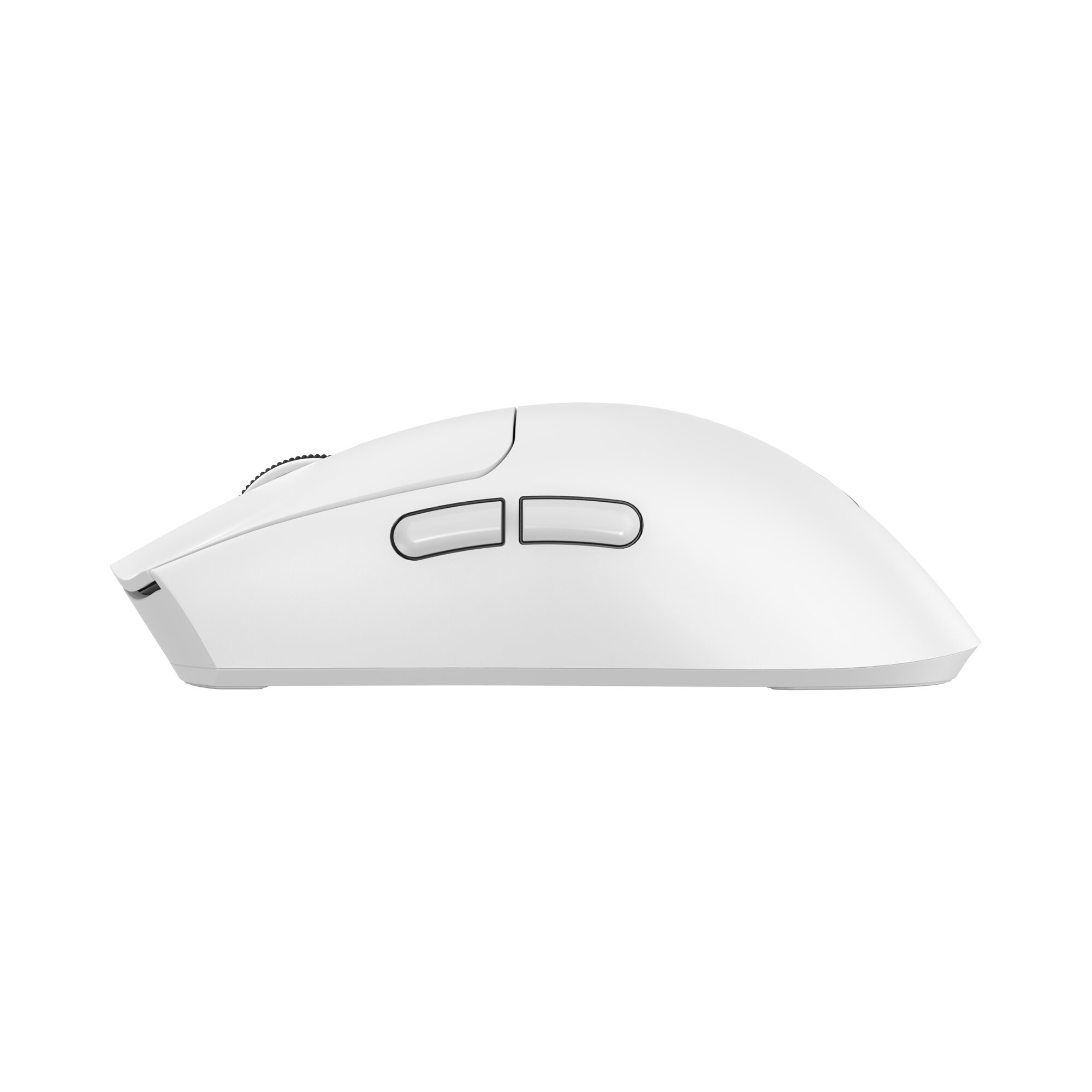 Baracuda MORAY BGM-132, White