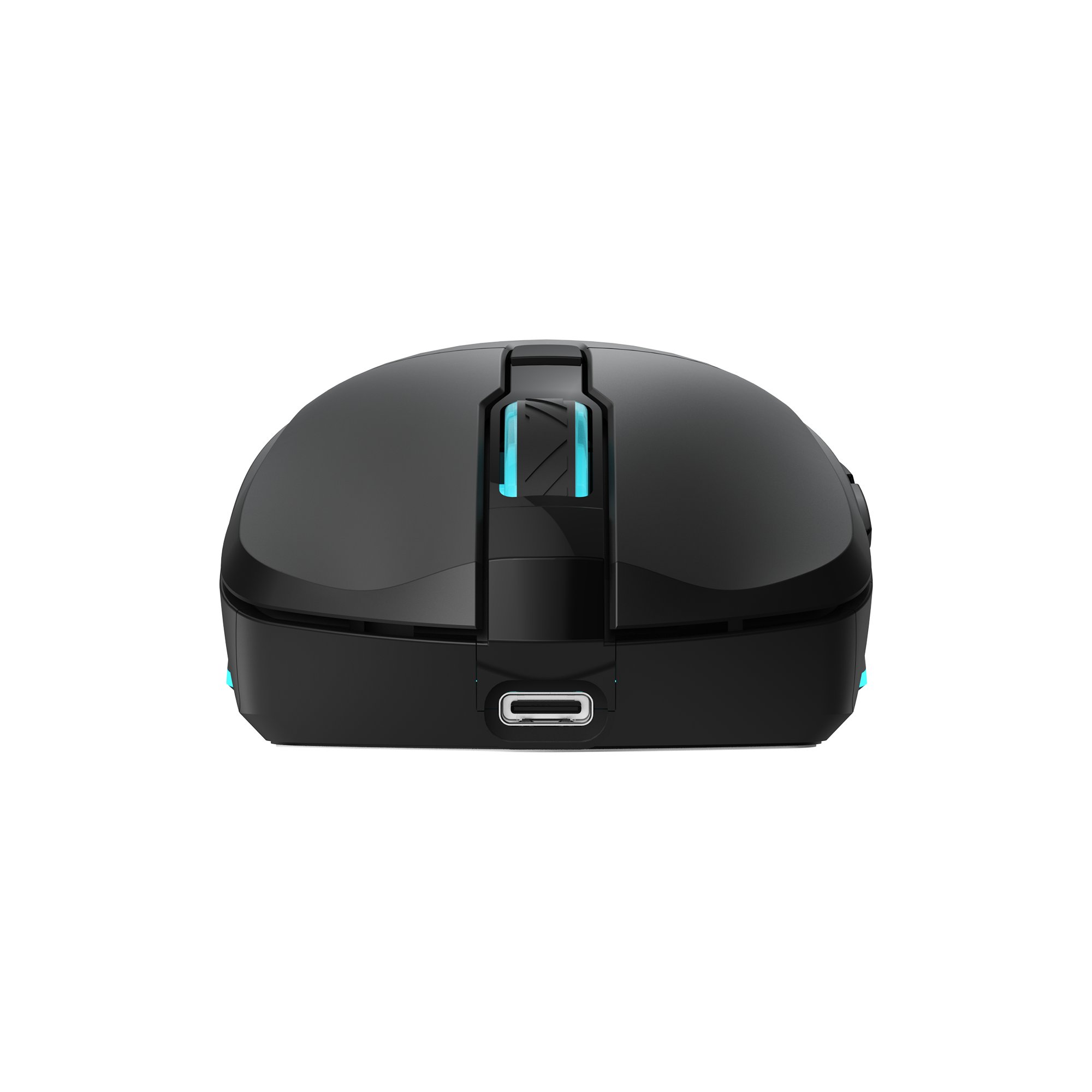 Baracuda TURTLE BGM-121, Black