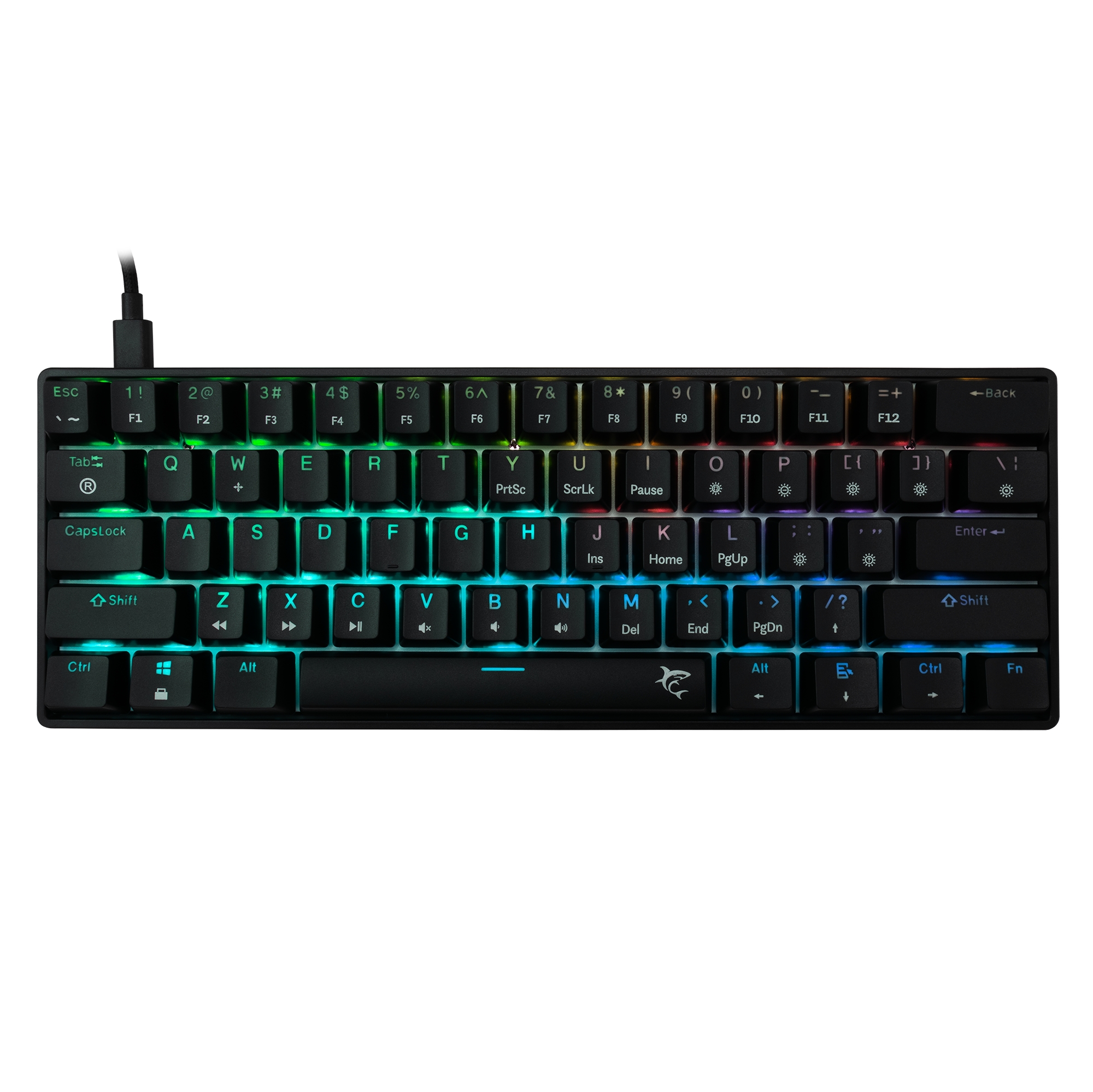 White Shark Shinobi-2 Brown switch, Black US